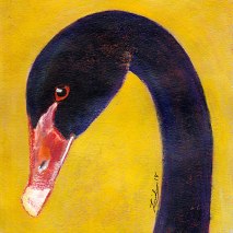 Bird-Head-Series-Black-Swan-by-Linden-Lancaster